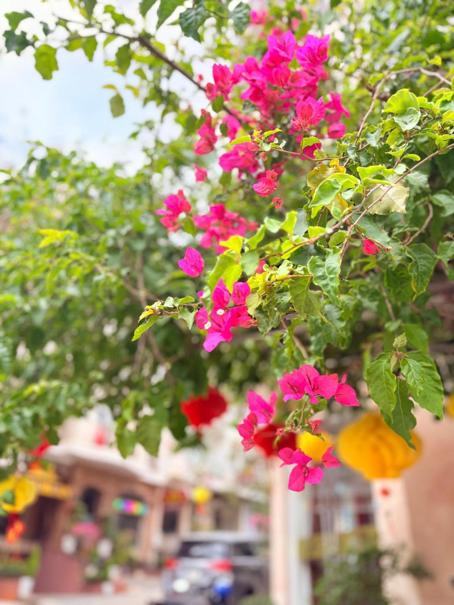 Khách Sạn Mỹ Hằng Da Lat Exterior foto